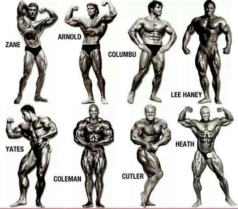 bodybuilding poses names